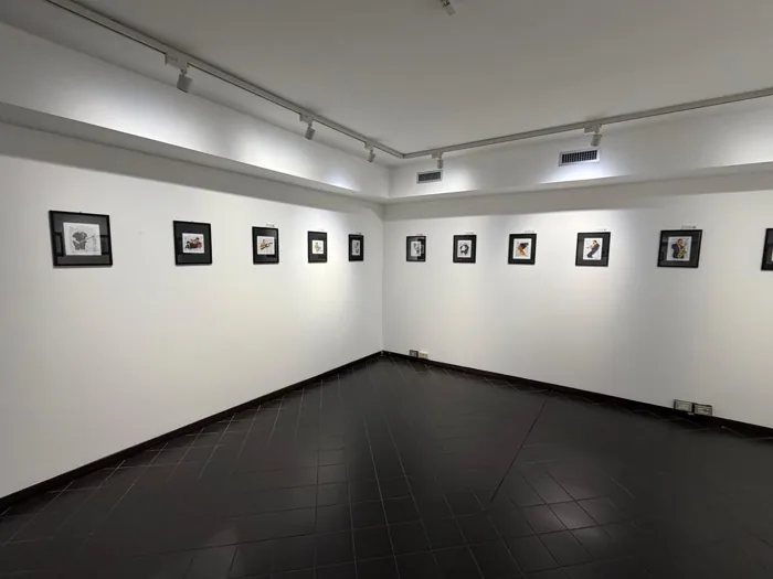 Musica Disegnata in mostra