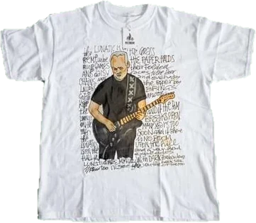 David Gilmour / Pink Floyd • Brain Damage